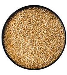 Heera Quinoa Seeds White 25kg