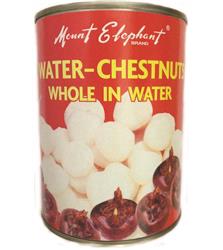 Water Chestnut in Water 567g