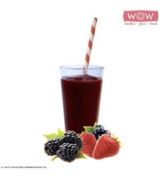 WOW  SM22 Berry Energiser Smoothies 150g