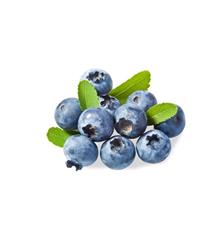 Blueberries 2.5kg